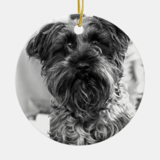 Zwergschnauzer Keramik Ornament