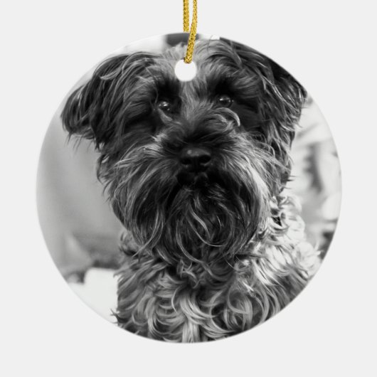 Zwergschnauzer Keramik Ornament (Vorne)