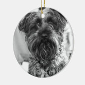 Zwergschnauzer Keramik Ornament (Links)
