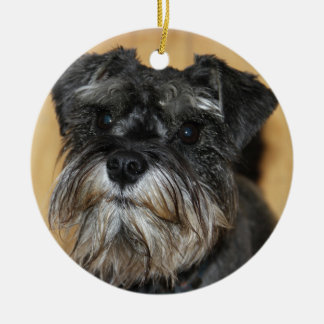 Zwergschnauzer Keramikornament