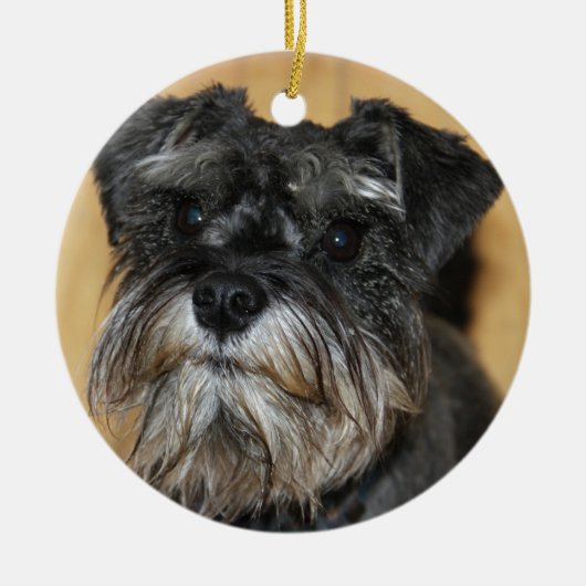 Zwergschnauzer Keramikornament (Vorne)