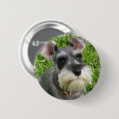 Zwergschnauzer-Knopf Button (Vorne & Hinten)
