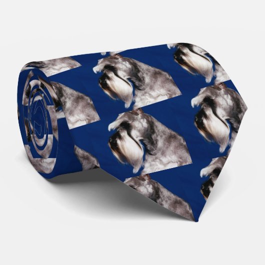 Zwergschnauzer-Kopf-Studie Krawatte (Gerollt)