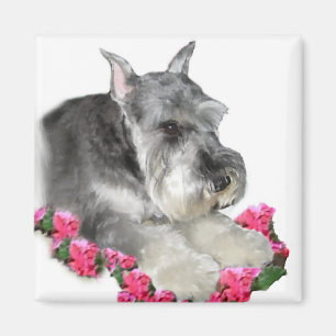 Zwergschnauzer-Kunst-Geschenke Magnet