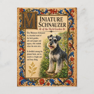 Zwergschnauzer, mittelalterliche Bestiarien-Kunst Postkarte