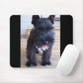 Zwergschnauzer Mousepad (Mit Mouse)