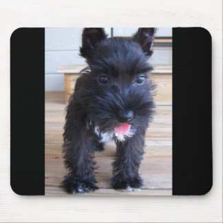 Zwergschnauzer Mousepad