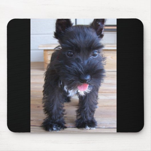 Zwergschnauzer Mousepad (Vorne)