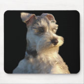 Zwergschnauzer Mousepad (Vorne)