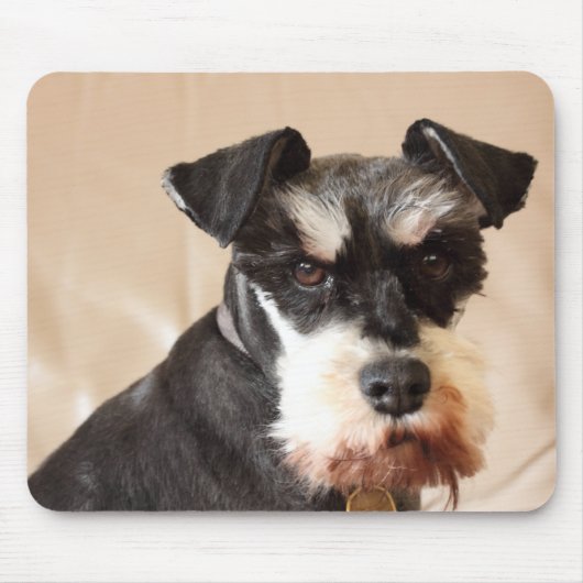 Zwergschnauzer Mousepad (Vorne)