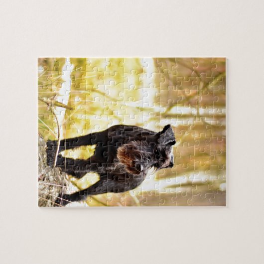 Zwergschnauzer Puzzle (Horizontal)