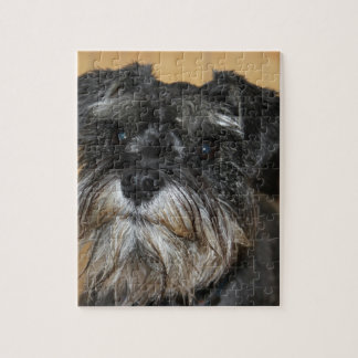 Zwergschnauzer Puzzle