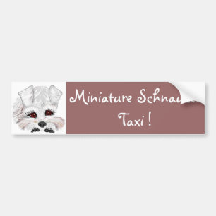 Zwergschnauzer-Taxi! Autoaufkleber