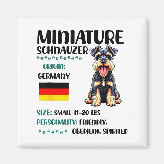 Zwergschnauzer Ursprung Lustiger Zwergschnauzer Lo Magnet (Vorne)