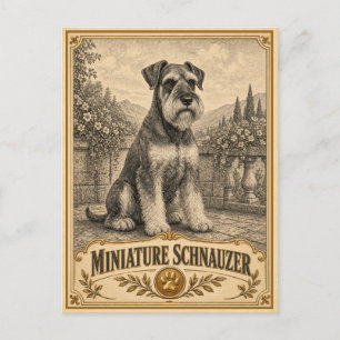 Zwergschnauzer, Vintage Heritage Hund Postkarte