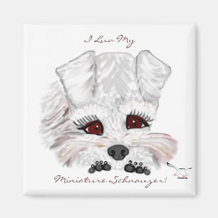 Zwergschnauzer-Welpe Magnet