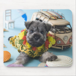 Zwergschnauzer-Welpe und Sommer-Ferien Mousepad