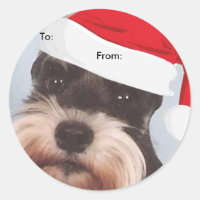 Zwergschnauzer zu/von Weihnachtsaufklebern
