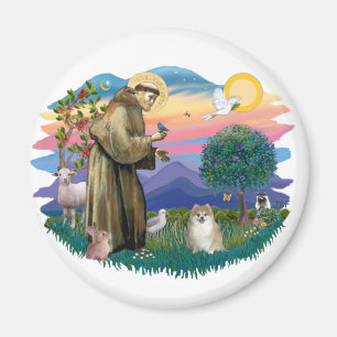 Zwergspitz (Fohlen) Magnet