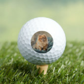 Zwergspitz Golfball (Insitu T-Shirt)
