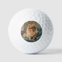 Zwergspitz Golfball