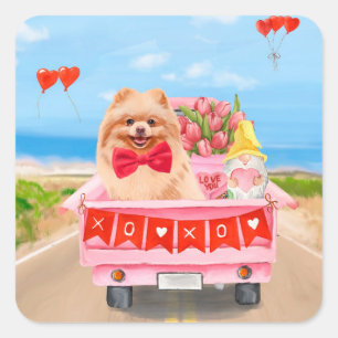 Zwergspitz-Hund Valentinstag Lastwagen Herzen Quadratischer Aufkleber