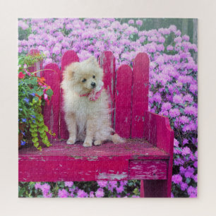 Zwergspitz Hunde Blumen Floral Puzzle