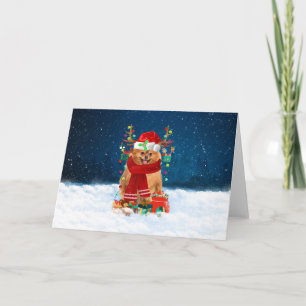 Zwergspitz im Schnee mit Weihnachtsgeschenken Karte