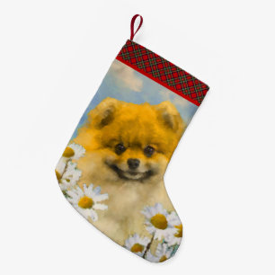 Zwergspitz in Gänseblümchen Malerei - Originale Hu Kleiner Weihnachtsstrumpf
