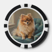 Zwergspitz Pokerchips (Vorderseite)