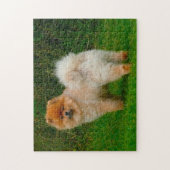 Zwergspitz Pomeranian Hund. Puzzle (Vertikal)