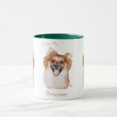 Zwergspitz Tasse (Zentrum)
