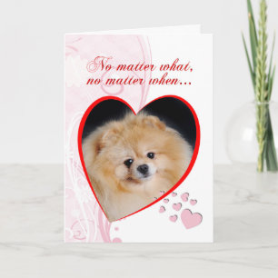 Zwergspitz Valentinstag Feiertagskarte