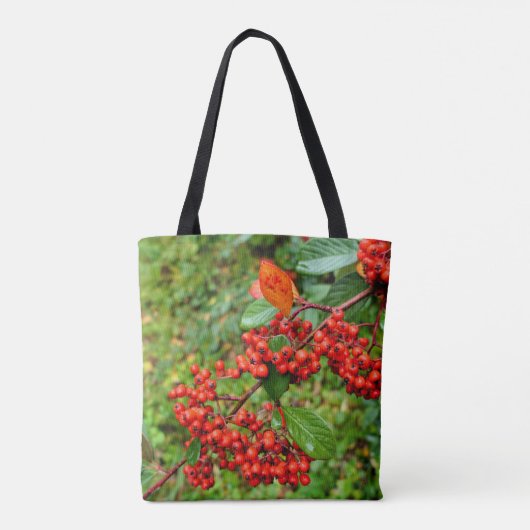 Zwergtasche Tasche (Rückseite)