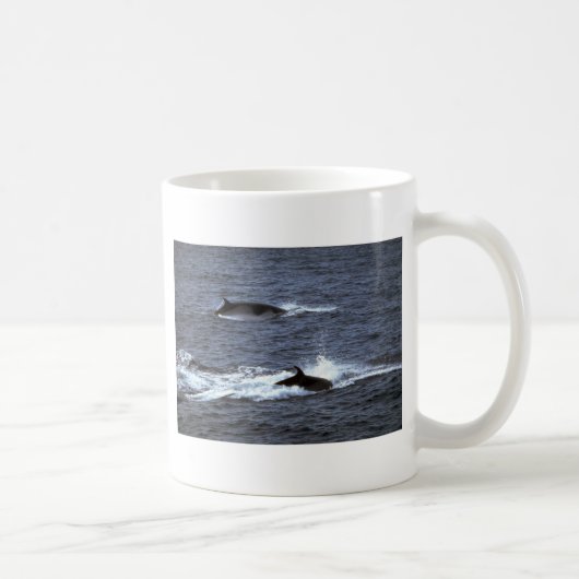 Zwergwal Kaffeetasse (Rechts)
