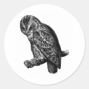 Zwergwürfel Bird Vintage Holzgrabung Runder Aufkleber