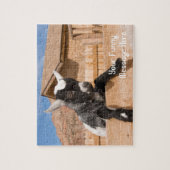 Zwergziege Puzzle (Vertikal)