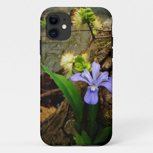 Zwergzwerg Iris lila weiße Blume Case-Mate iPhone Hülle (Rückseite)