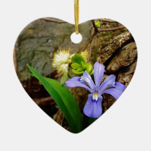 Zwergzwerg Iris lila weiße Blume Keramik Ornament (Vorne)