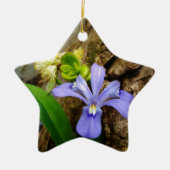 Zwergzwerg Iris lila weiße Blume Keramikornament (Vorne)
