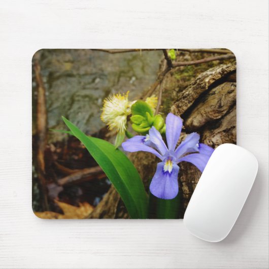 Zwergzwerg Iris lila weiße Blume Mousepad (Mit Mouse)
