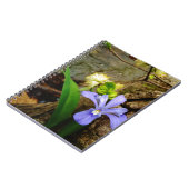 Zwergzwerg Iris lila weiße Blume Notizblock (Linke Seite)