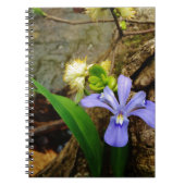 Zwergzwerg Iris lila weiße Blume Notizblock (Vorderseite)