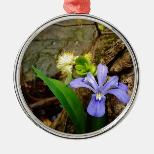 Zwergzwerg Iris lila weiße Blume Ornament Aus Metall (Vorne)