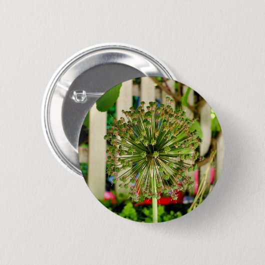 Zwiebel-Abzeichen Button (Vorne & Hinten)