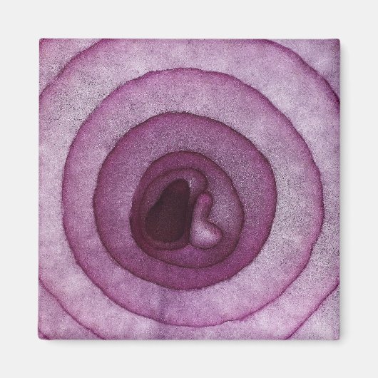 Zwiebel Magnet (Vorne)