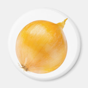 Zwiebel Magnet