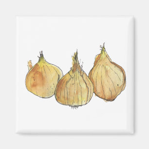 Zwiebel-Magnet Magnet