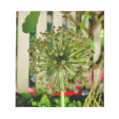 Zwiebel Notizblock (Vorderseite)