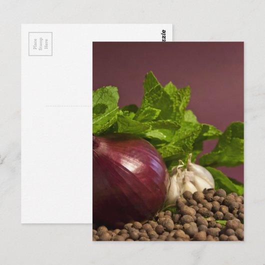 Zwiebel Postkarte (Vorne/Hinten)